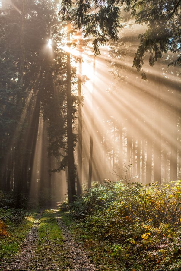 How to Practice Mindfulness in Nature