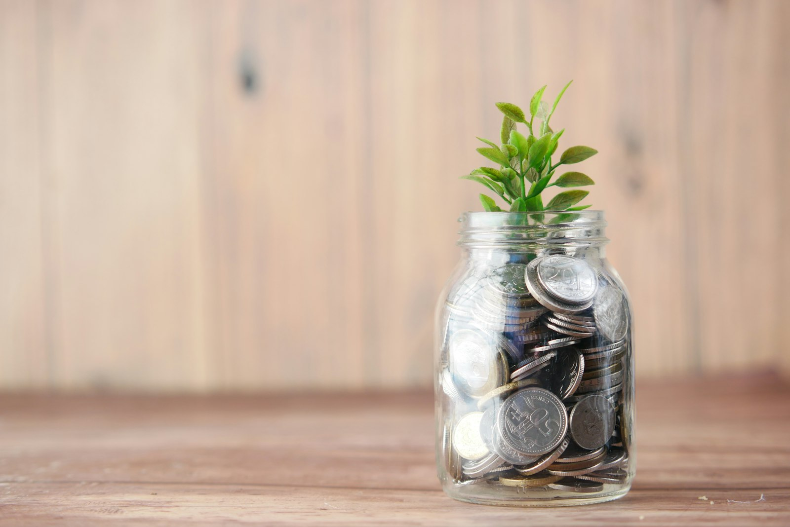 Sustainable Investing: 5 Ways to Align Your Investments with Your Values