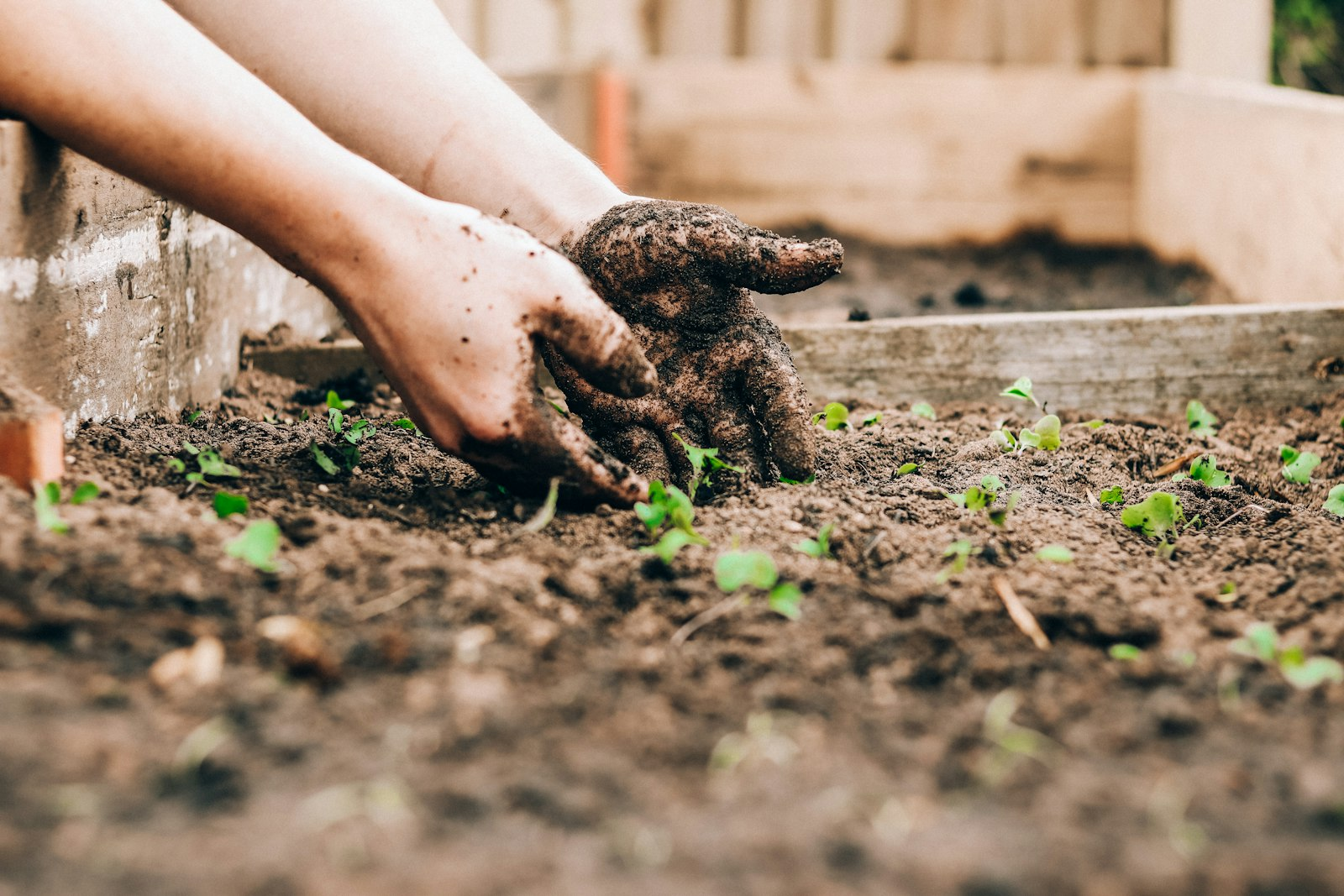 The Benefits of Gardening for Stress Relief