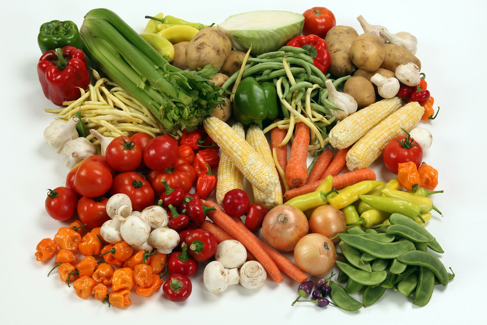 Quick Guide to Plant-Based Diets and How to Start